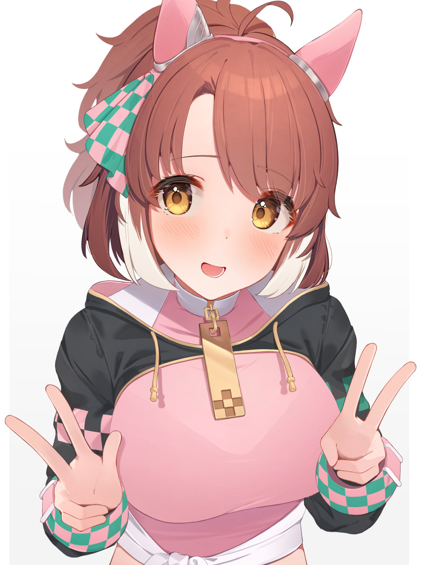 Dantsu Flame (Center Spotlight) (Umamusume) Rule 34 Image