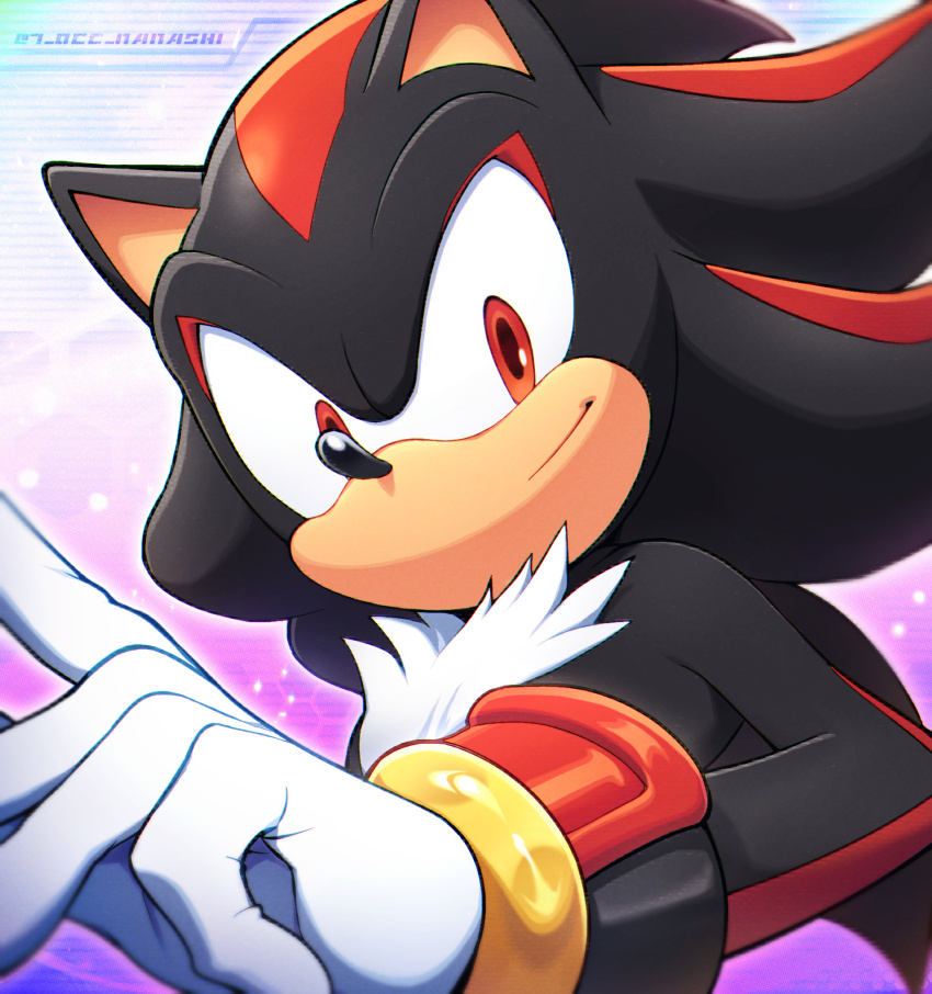 Shadow The Hedgehog (Sonic (Series)) Rule 34 Image