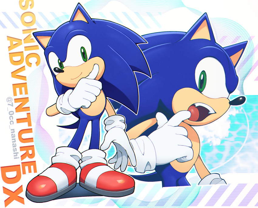 Sonic The Hedgehog (Sonic (Series)) Rule 34 Image