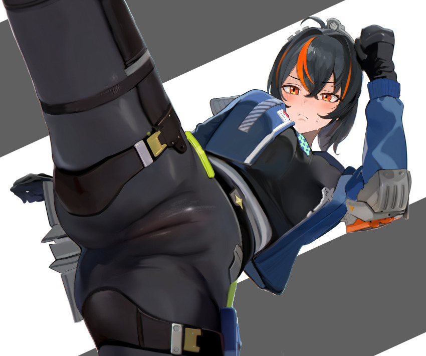 Zhu Yuan (Zenless Zone Zero) Rule 34 Image