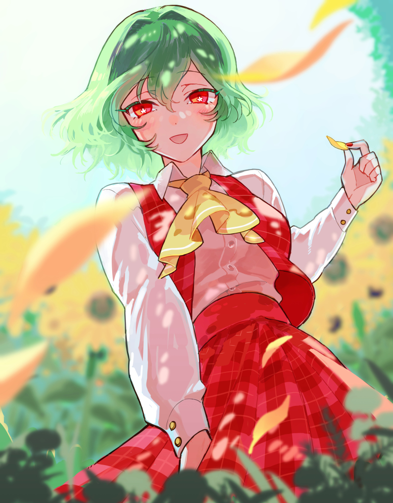 Kazami Yuuka (Touhou) Rule 34 Image