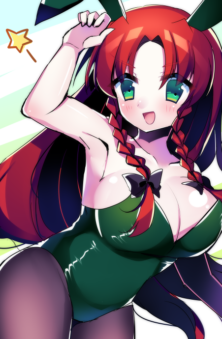 Hong Meiling (Touhou) Rule 34 Image