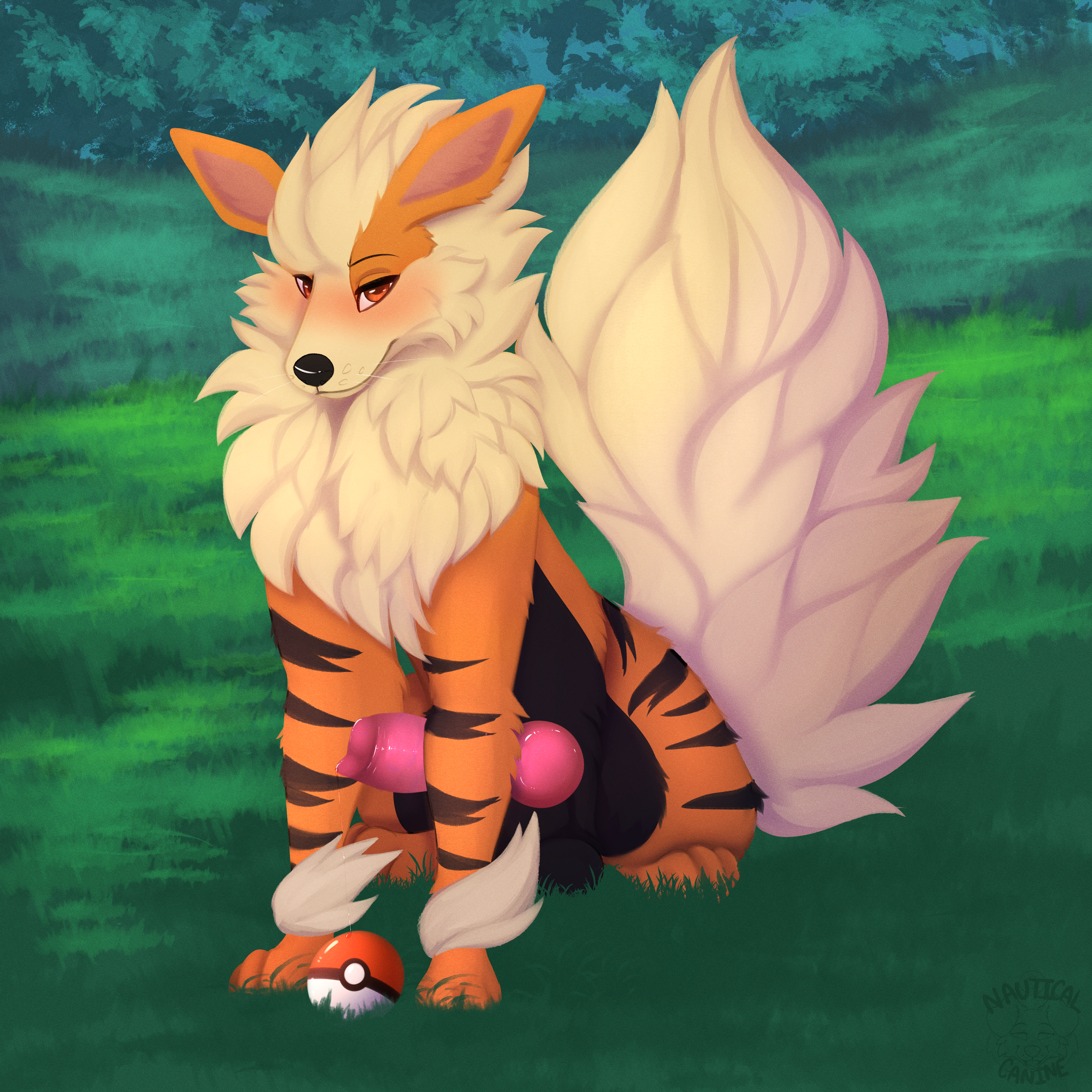 Arcanine (Nintendo) Rule 34 Image