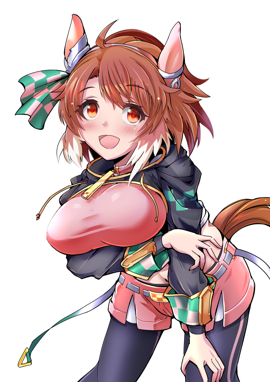 Dantsu Flame (Center Spotlight) (Umamusume) Rule 34 Image