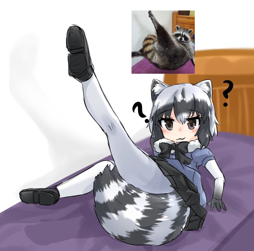Common Raccoon (Kemono Friends) Rule 34 Image