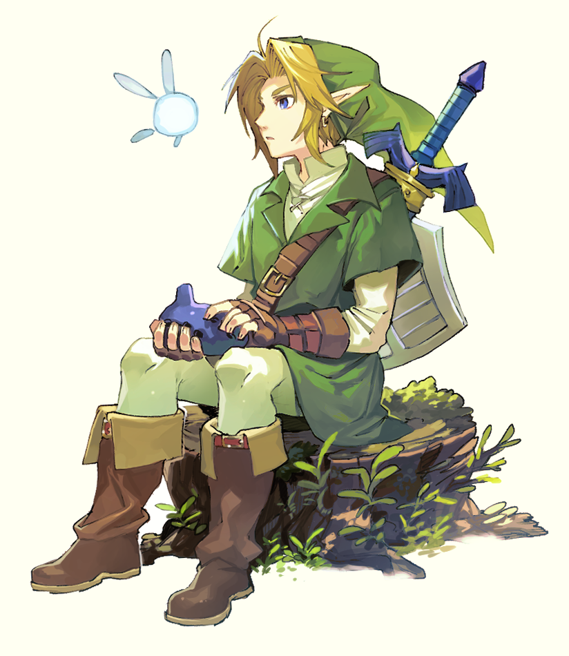 Link (Nintendo) Rule 34 Image