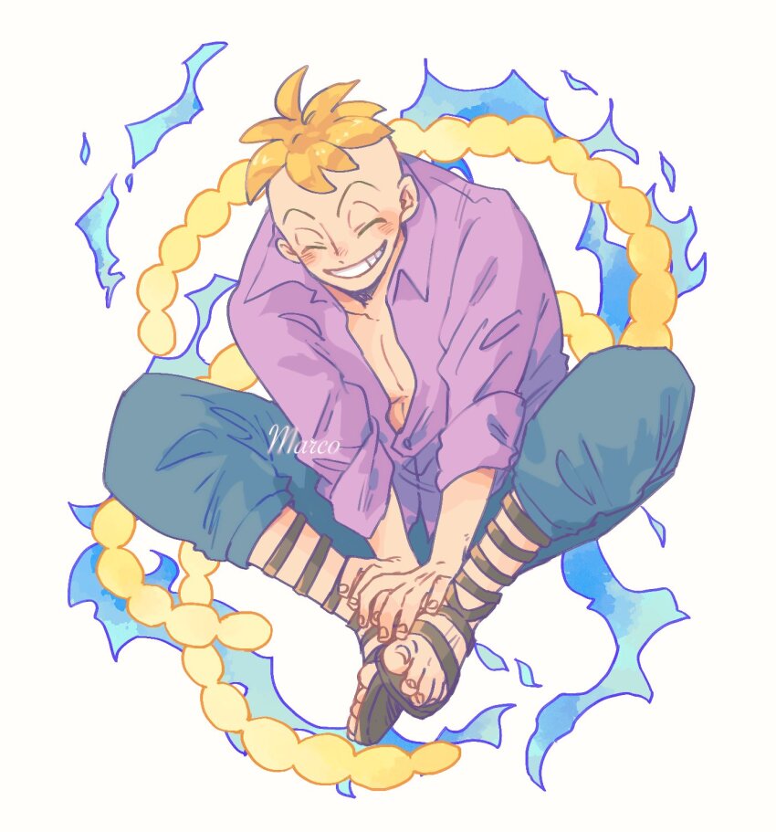 Marco (One Piece) Rule 34 Image