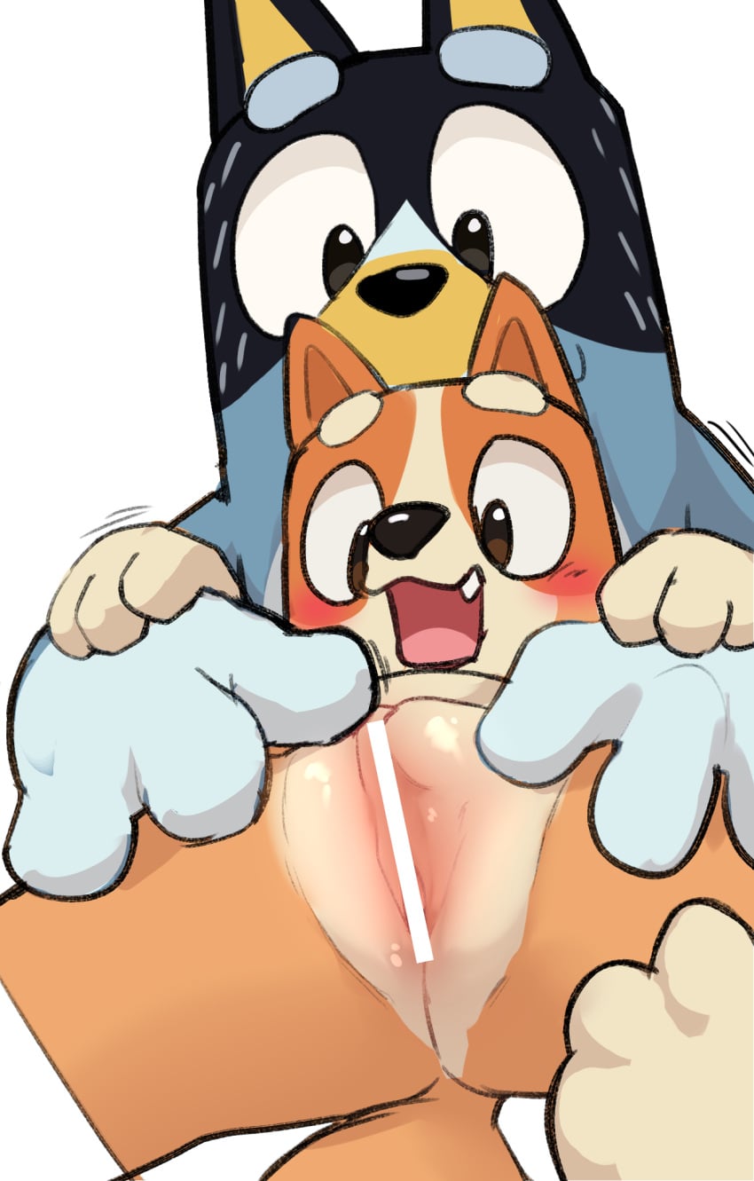 Bandit Heeler (Bluey (Series)) Rule 34 Image