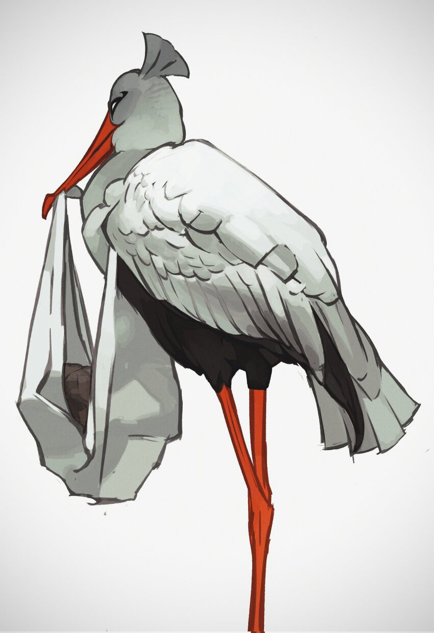 Bombirdier (Nintendo) Rule 34 Image