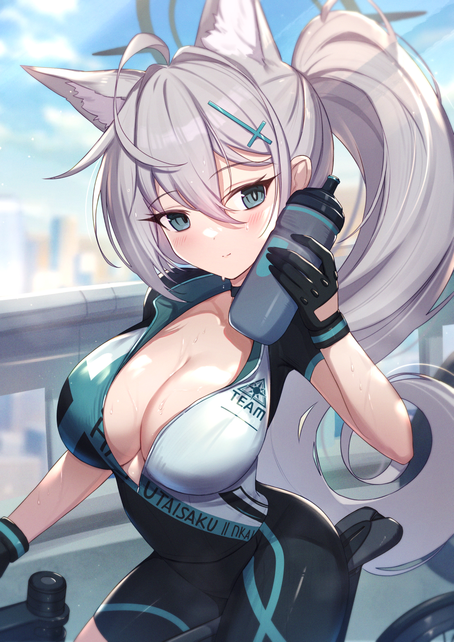 Shiroko (Blue Archive) Rule 34 Image