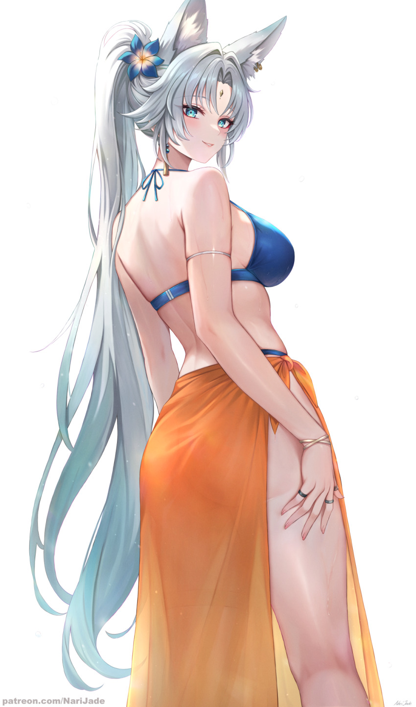 Feixiao (Honkai: Star Rail) Rule 34 Image