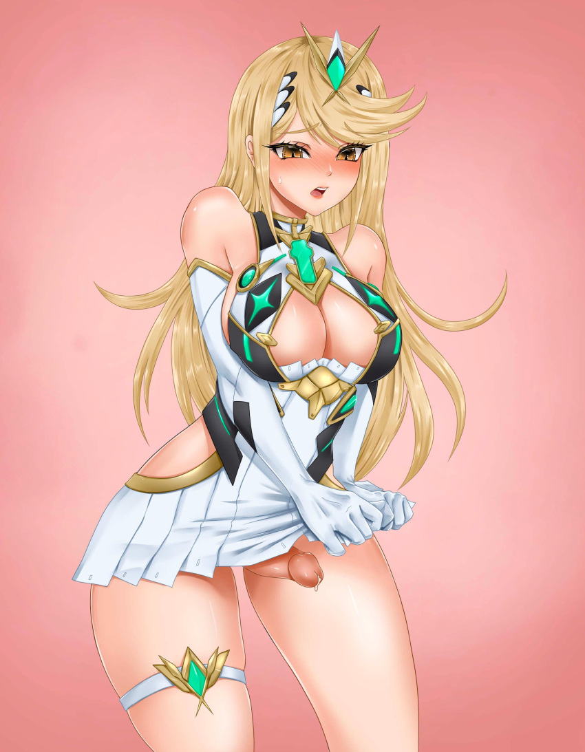 Hikari (Xenoblade 2) Rule 34 Image