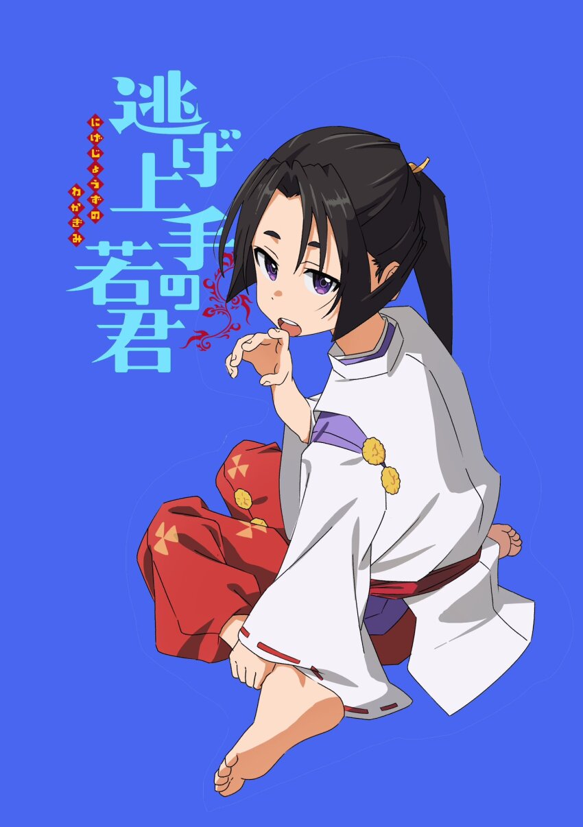 Houjou Tokiyuki (Nige Jouzu No Wakagimi) Rule 34 Image
