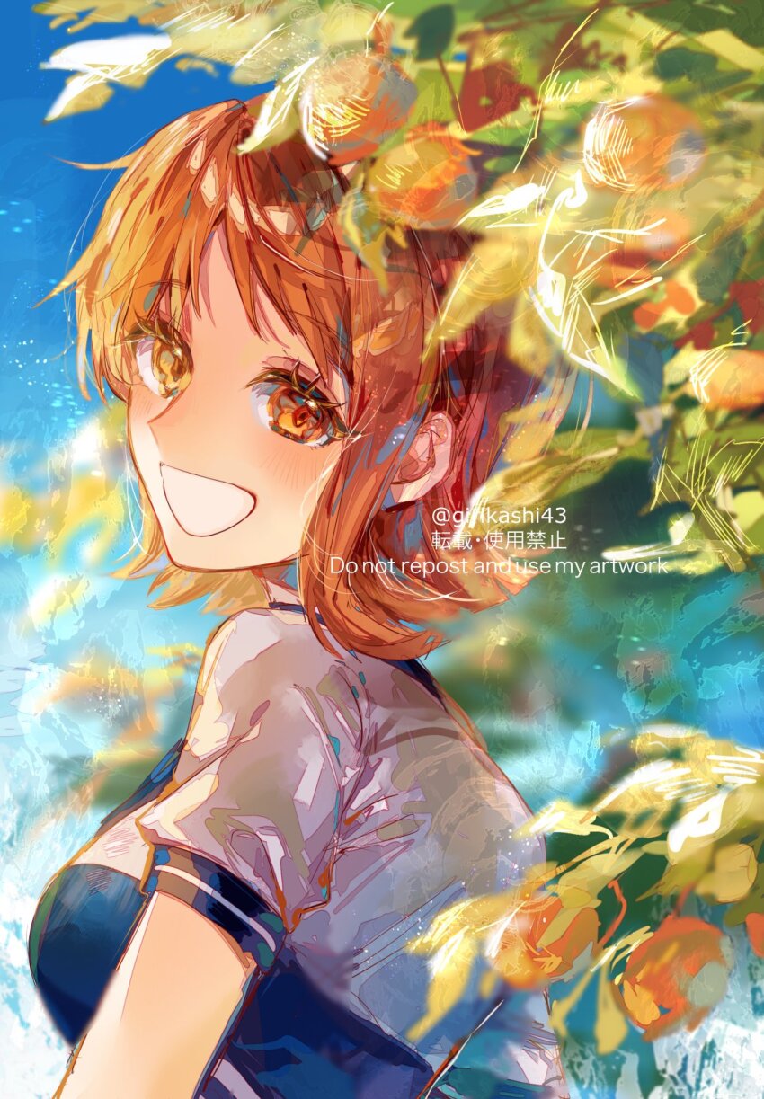 Nami (One Piece) Rule 34 Image