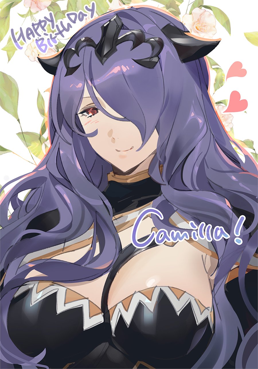 Camilla (Fire Emblem) Rule 34 Image