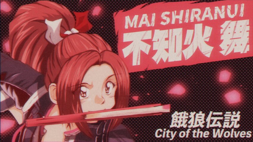 Fatal Fury Rule 34 Image