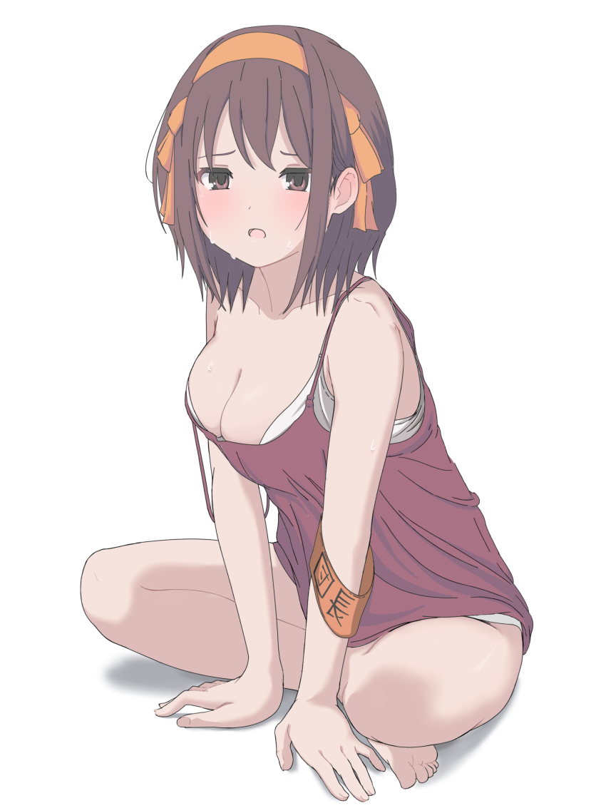 Suzumiya Haruhi (Suzumiya Haruhi No Yuuutsu) Rule 34 Image