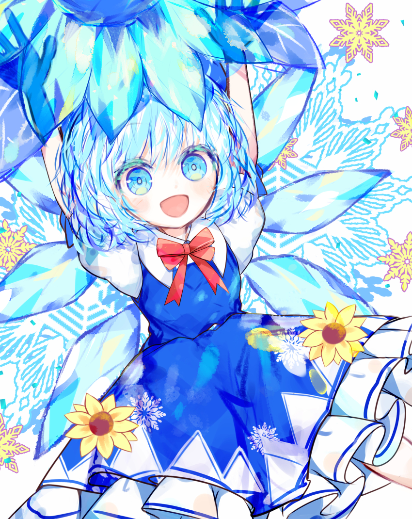 Cirno (Touhou) Rule 34 Image