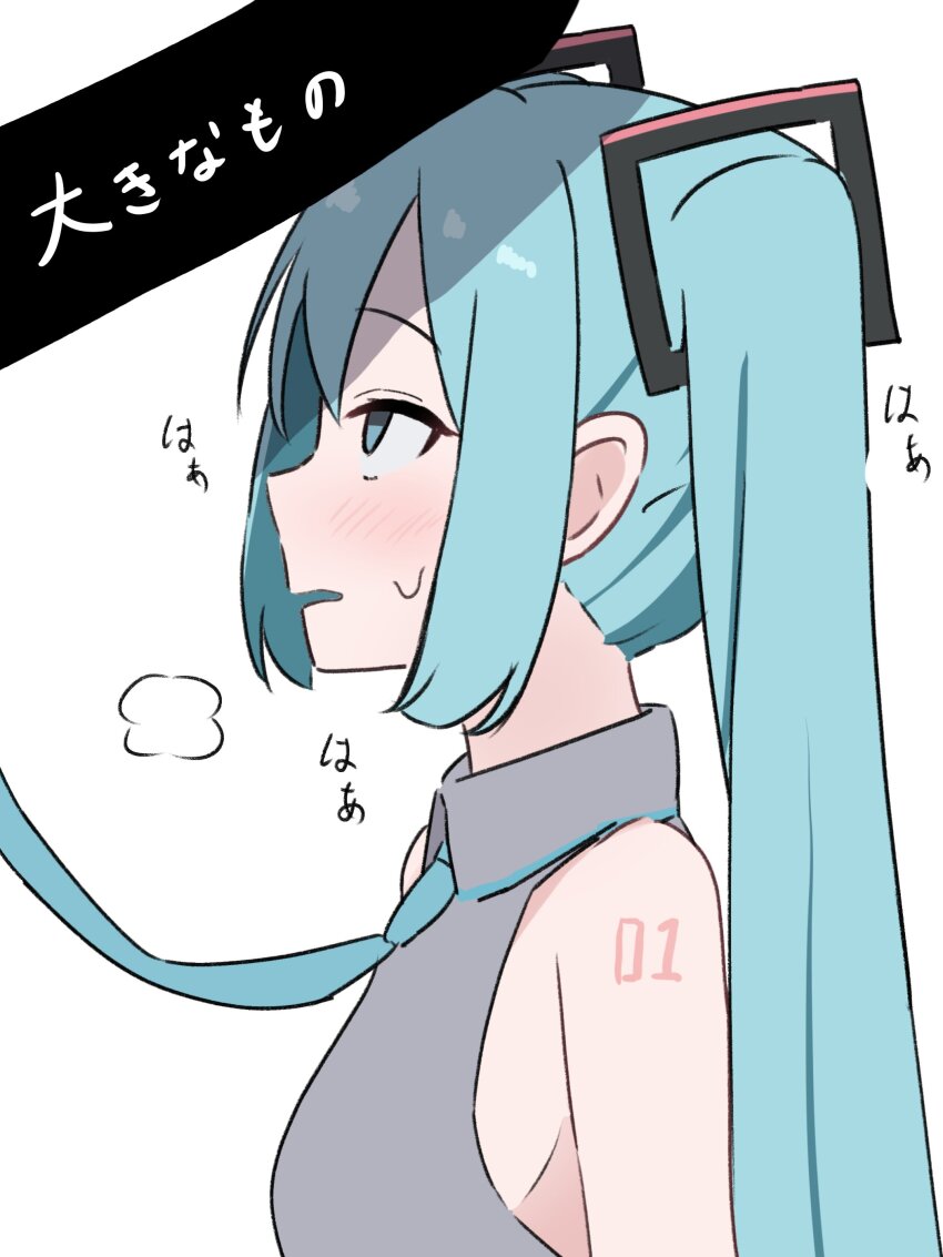 Hatsune Miku (Vocaloid) Rule 34 Image