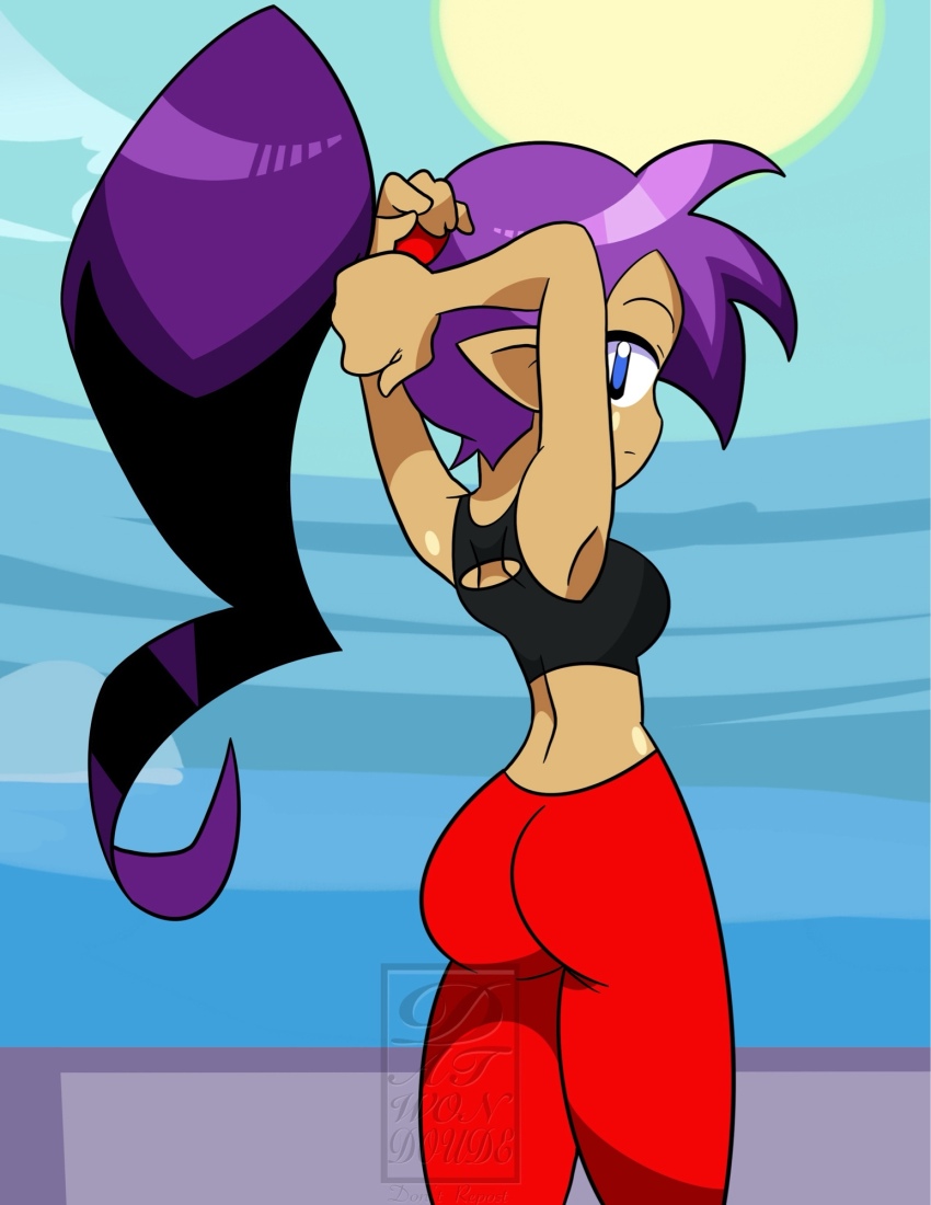 Shantae Rule 34 Image