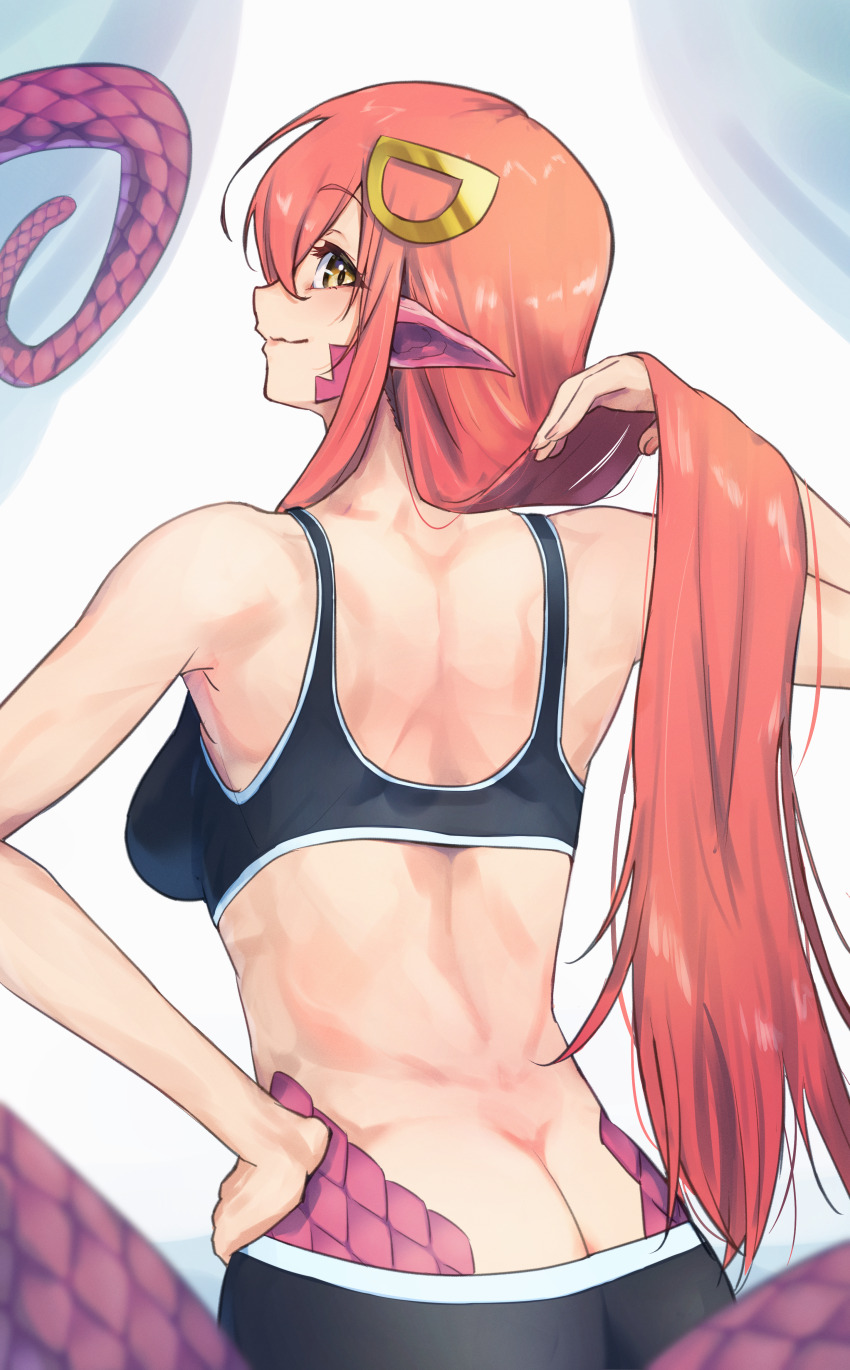 Miia (Monster Musume) Rule 34 Image