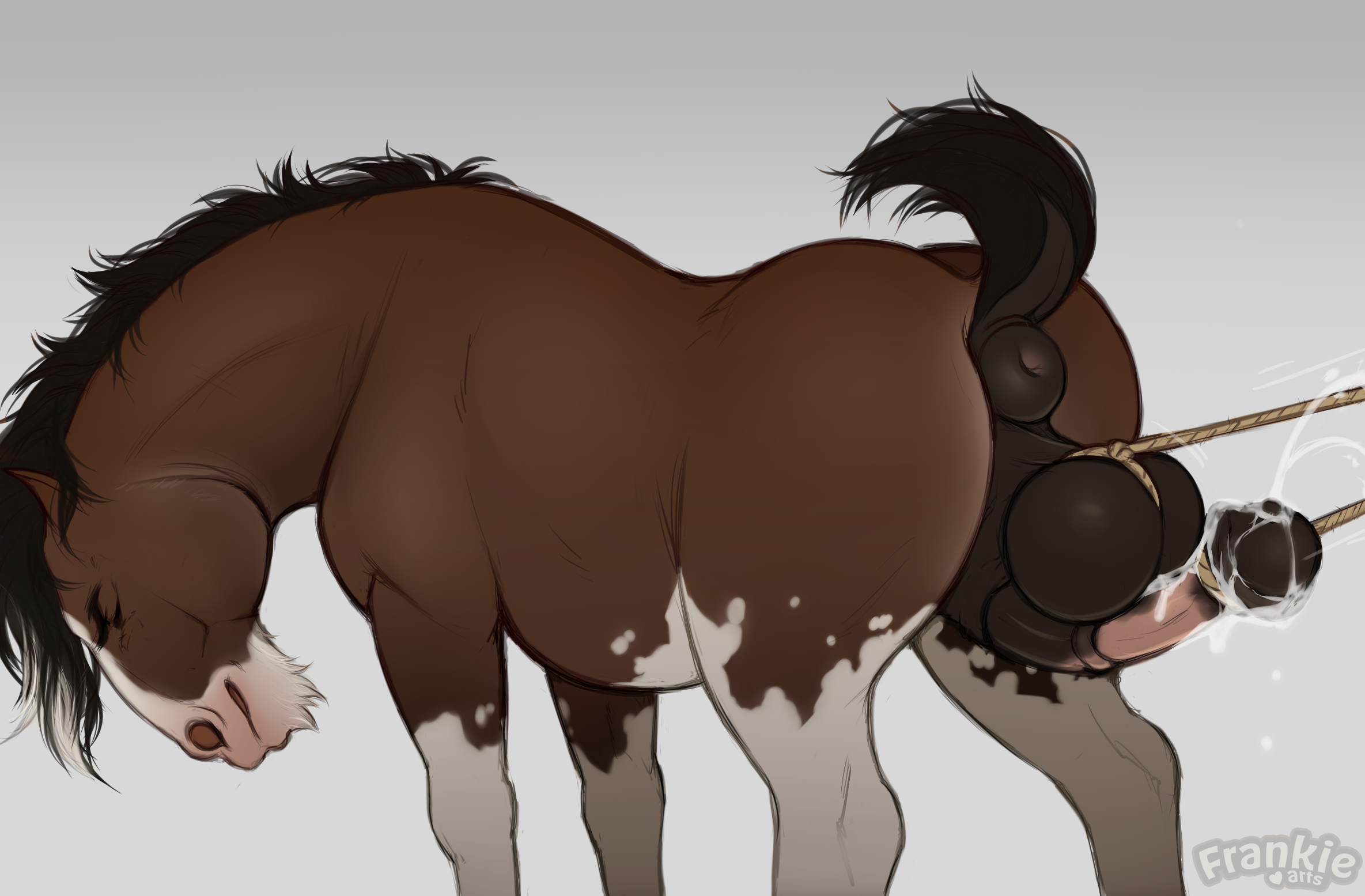 Animal Genitalia Rule 34 Image