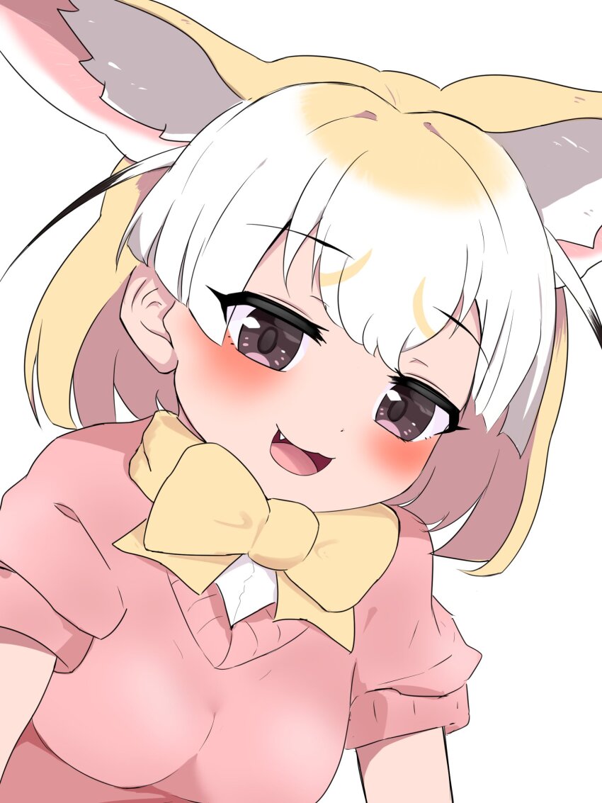 Fennec (Kemono Friends) Rule 34 Image