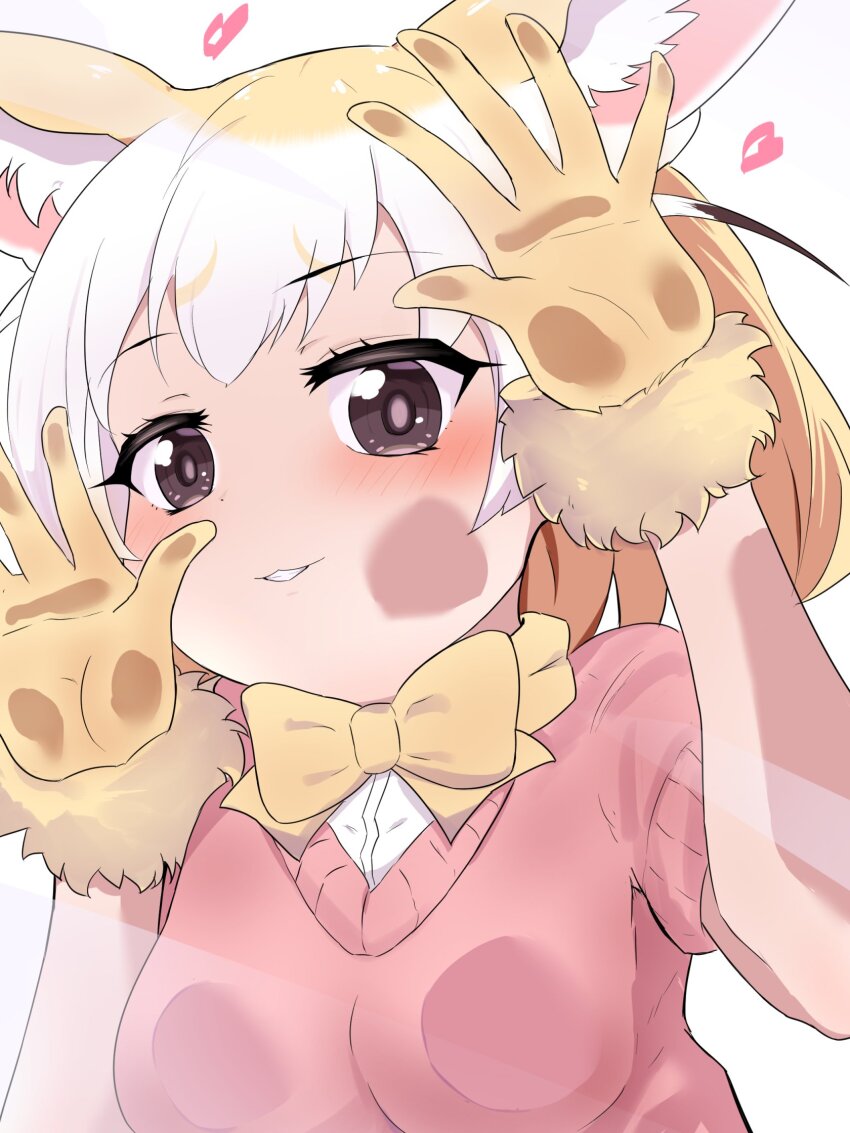 Fennec (Kemono Friends) Rule 34 Image