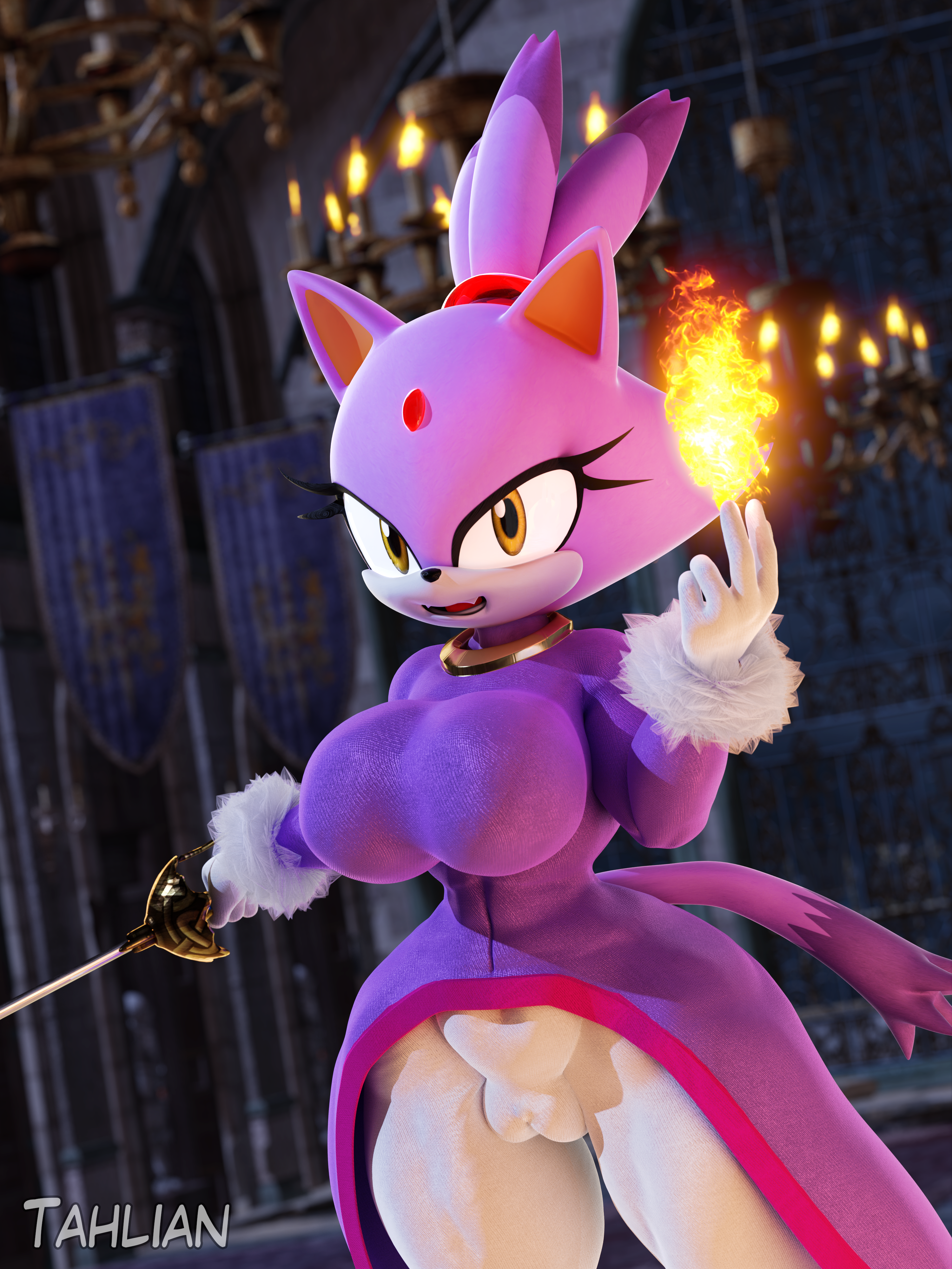 Blaze The Cat (Sonic (Series)) Rule 34 Image