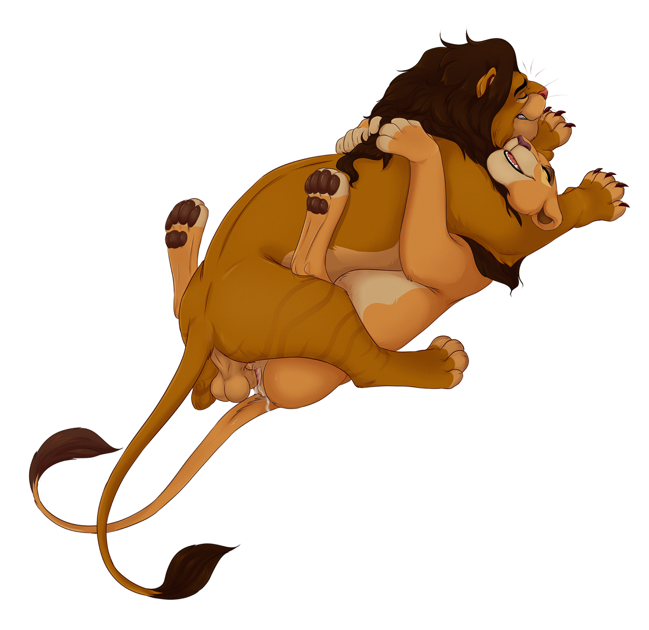 Animal Genitalia Rule 34 Image