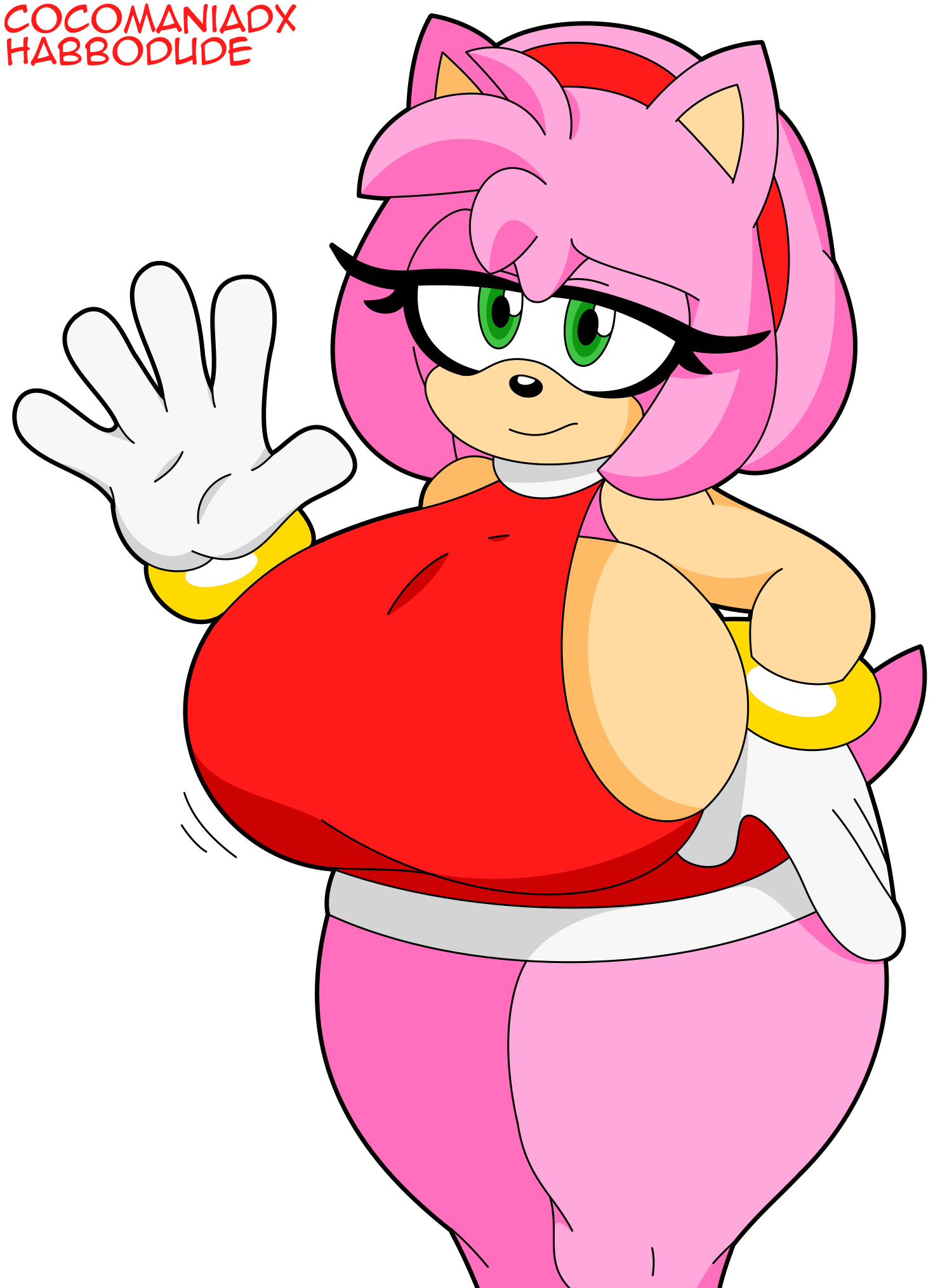 Amy Rose (Sonic (Series)) Rule 34 Image
