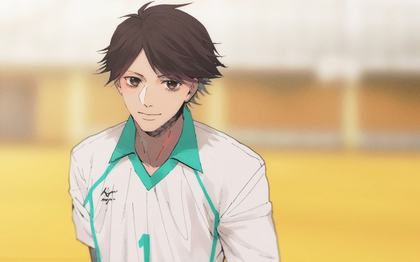 Oikawa Tooru (Haikyuu!!) Rule 34 Image