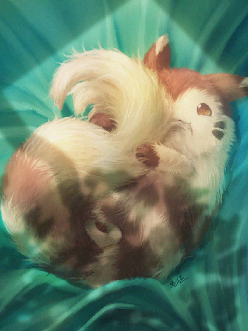 Furret (Nintendo) Rule 34 Image
