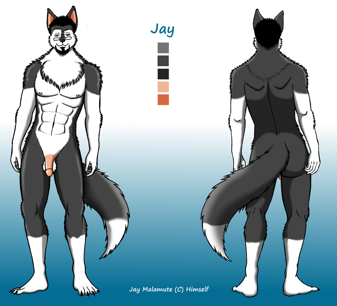 Anthro Rule 34 Image