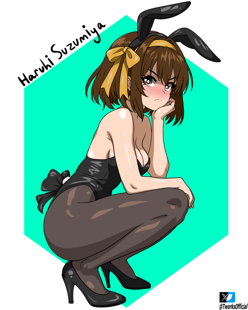 Suzumiya Haruhi (Suzumiya Haruhi No Yuuutsu) Rule 34 Image