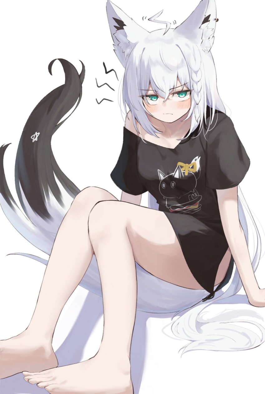 Shirakami Fubuki (Hololive) Rule 34 Image