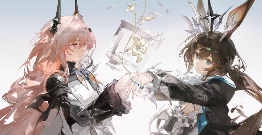 Amiya (Arknights) Rule 34 Image