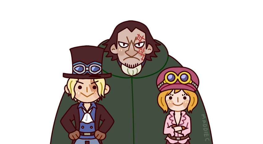 Koala (One Piece) Rule 34 Image