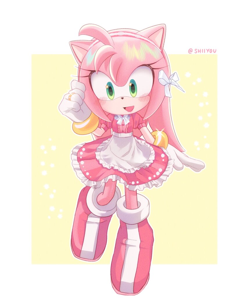 Amy Rose (Sonic (Series)) Rule 34 Image