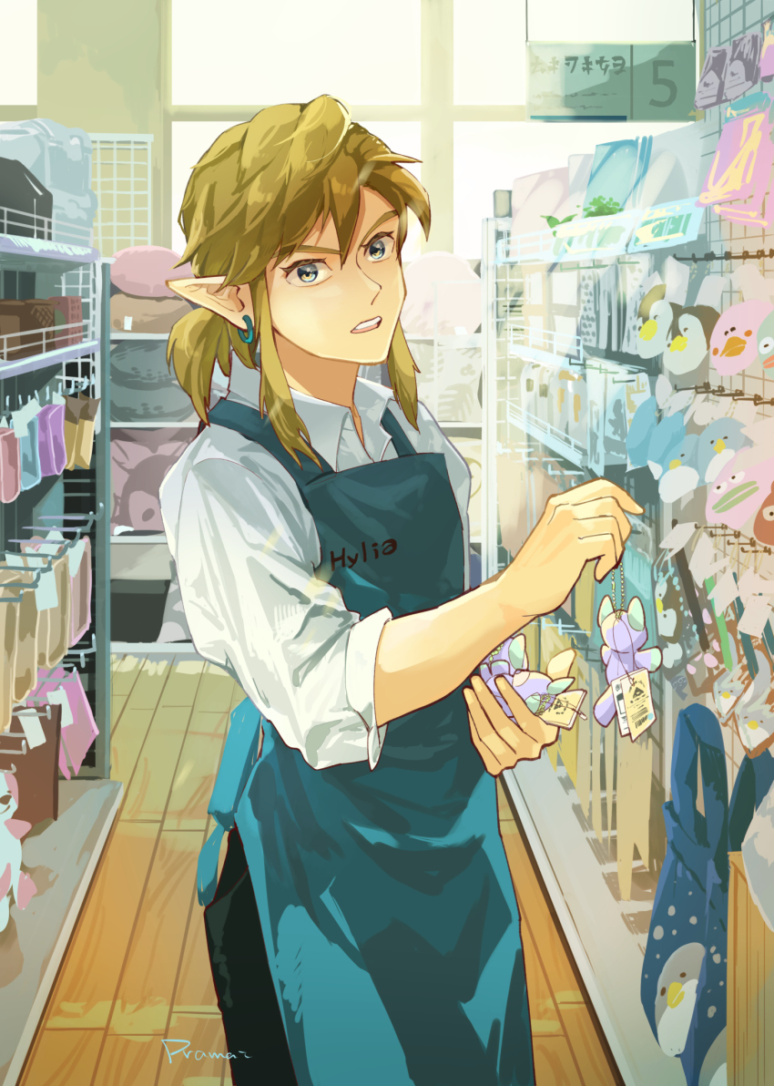 Link (Nintendo) Rule 34 Image