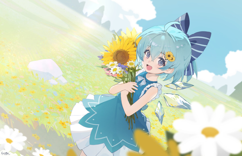 Cirno (Touhou) Rule 34 Image