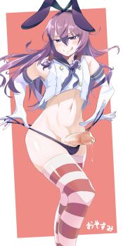Cookie (Touhou) Rule 34 Image