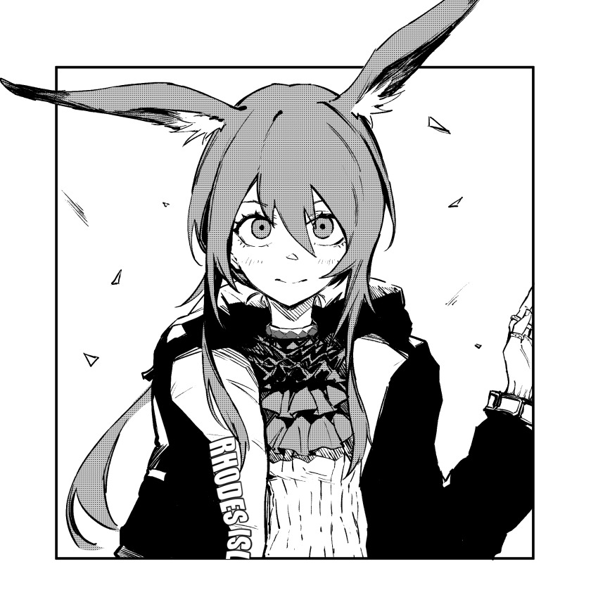Amiya (Arknights) Rule 34 Image