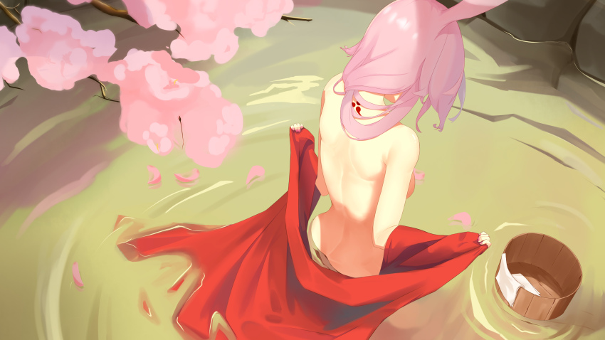 Yae Sakura (Honkai (Series)) Rule 34 Image