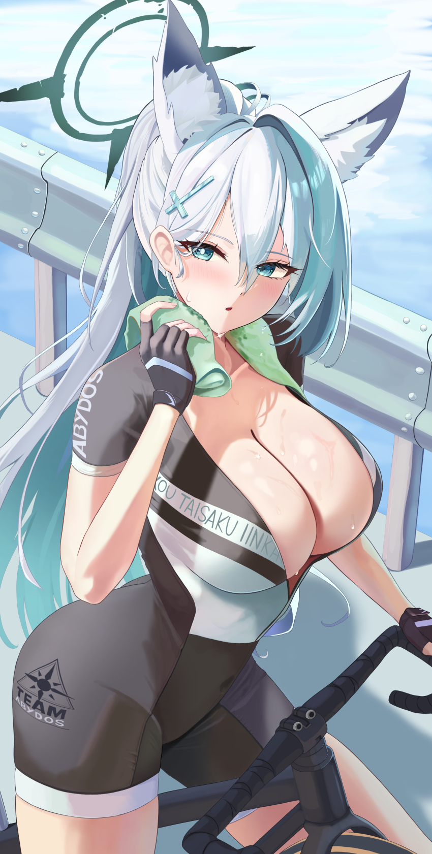 Shiroko (Blue Archive) Rule 34 Image