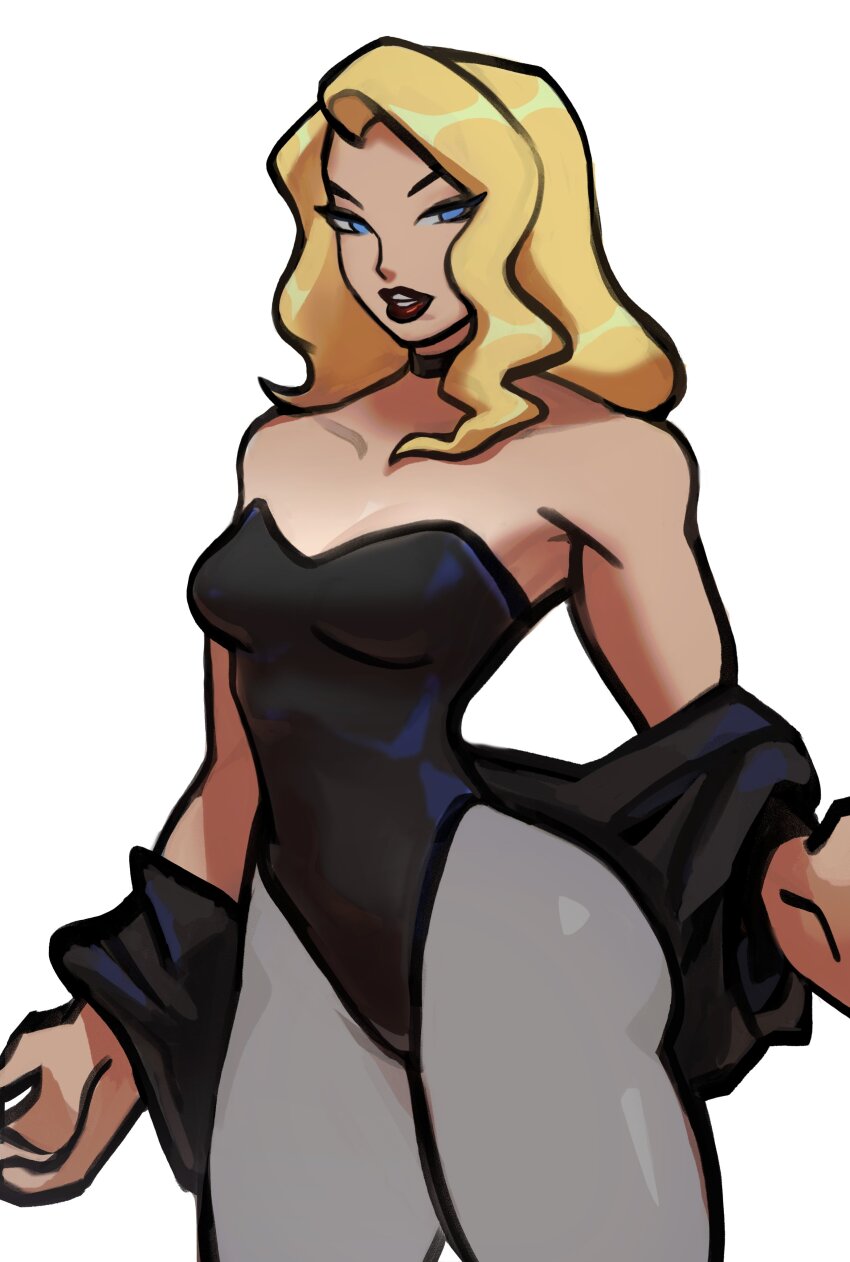 Black Canary (Dc Comics) Rule 34 Image