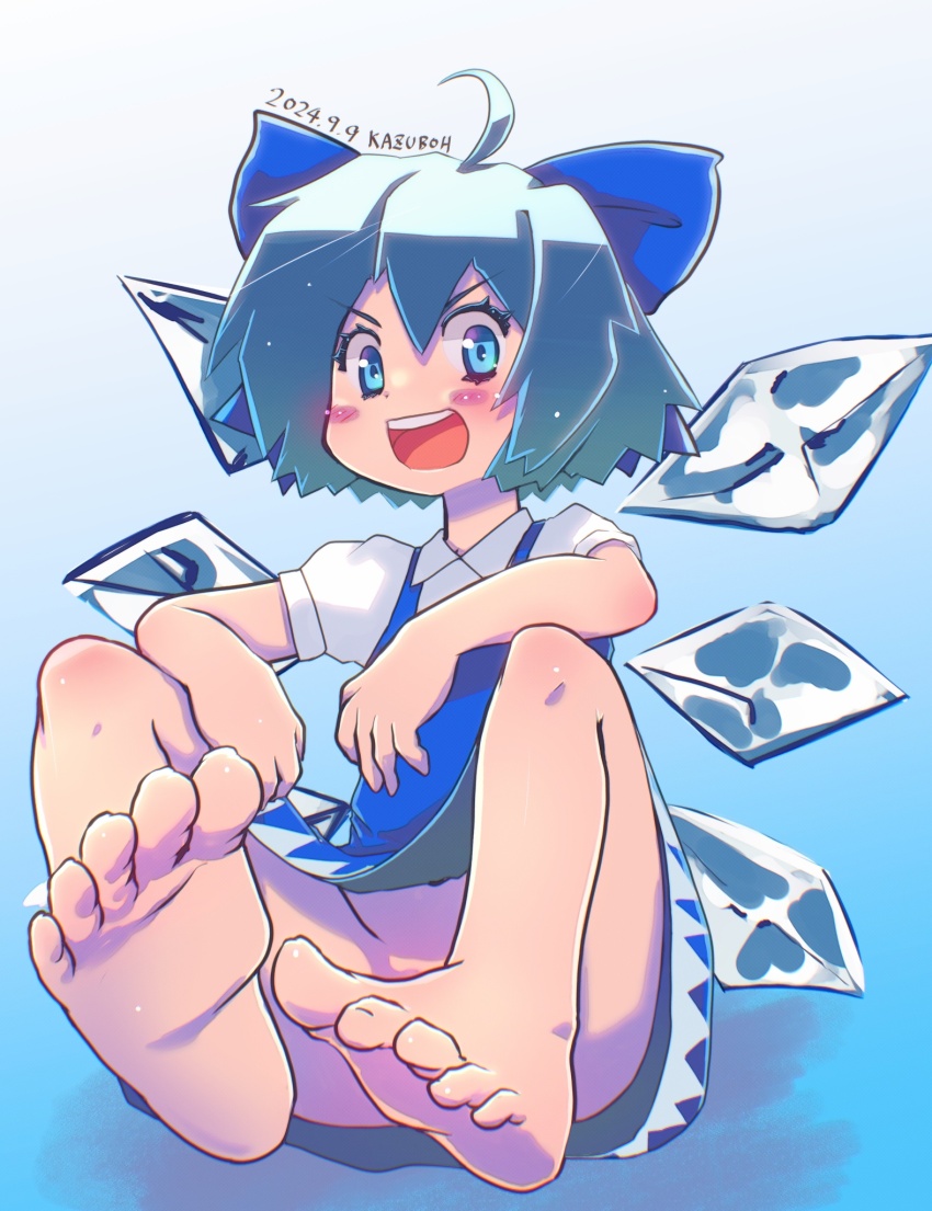Cirno (Touhou) Rule 34 Image