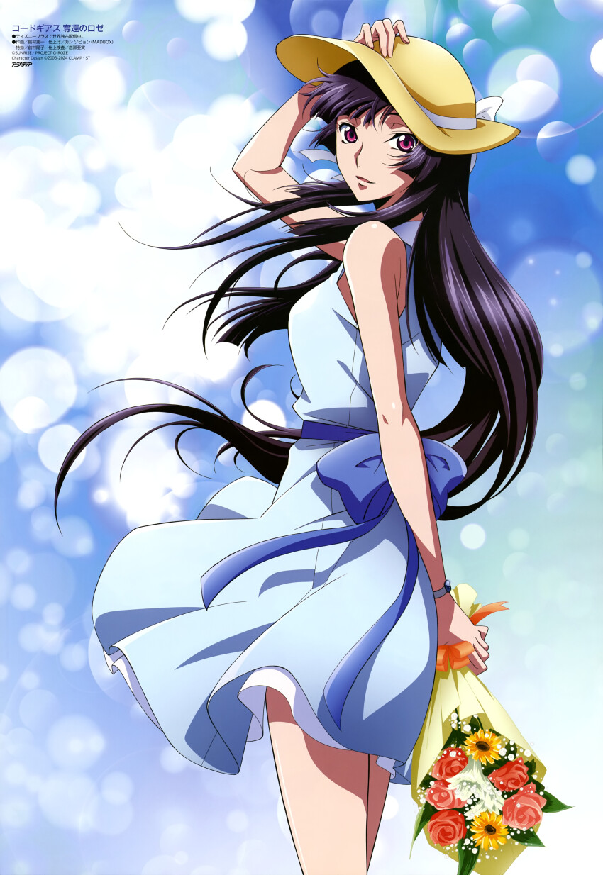 Animedia Rule 34 Image
