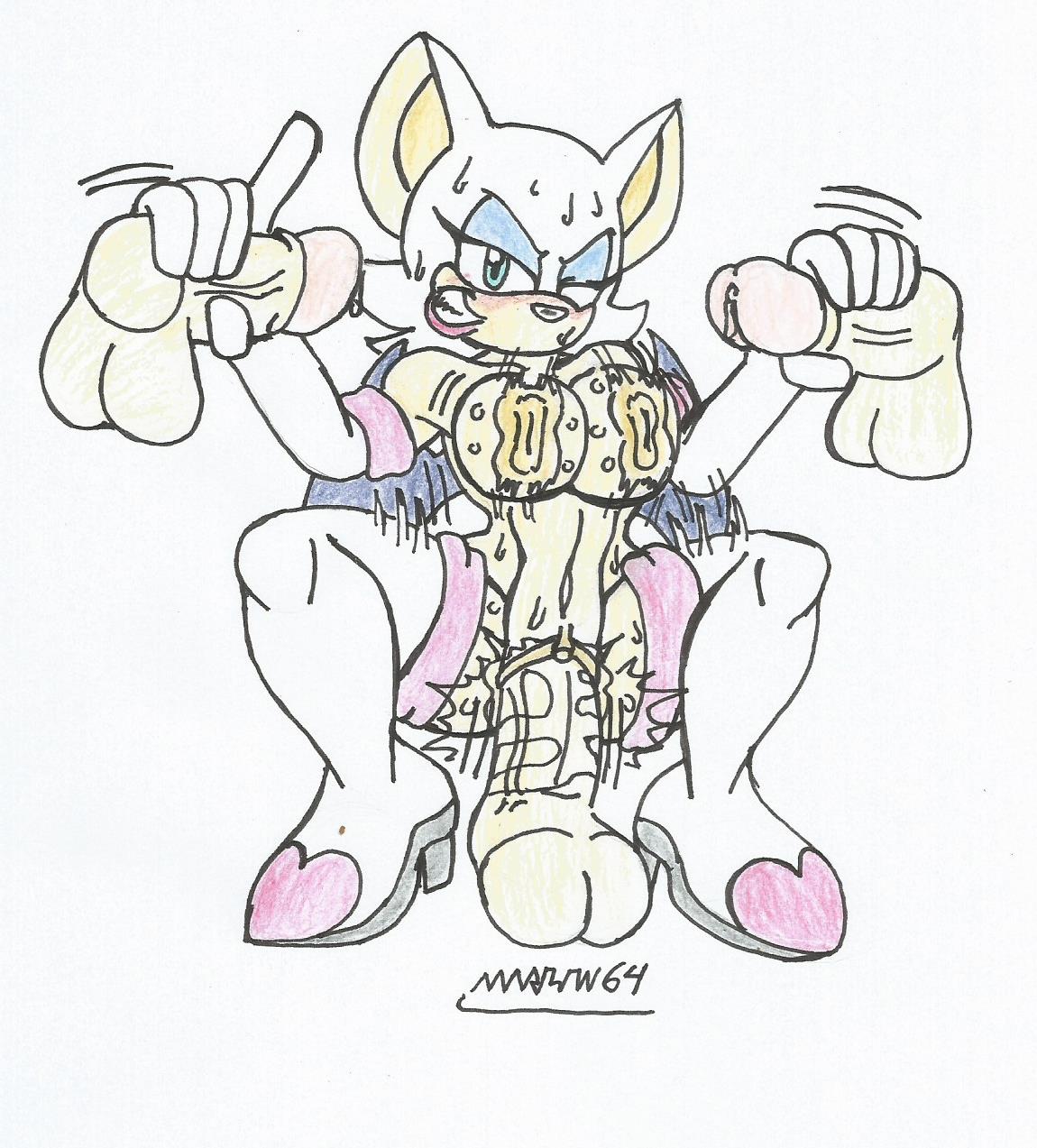Rouge The Bat (Sega) Rule 34 Image