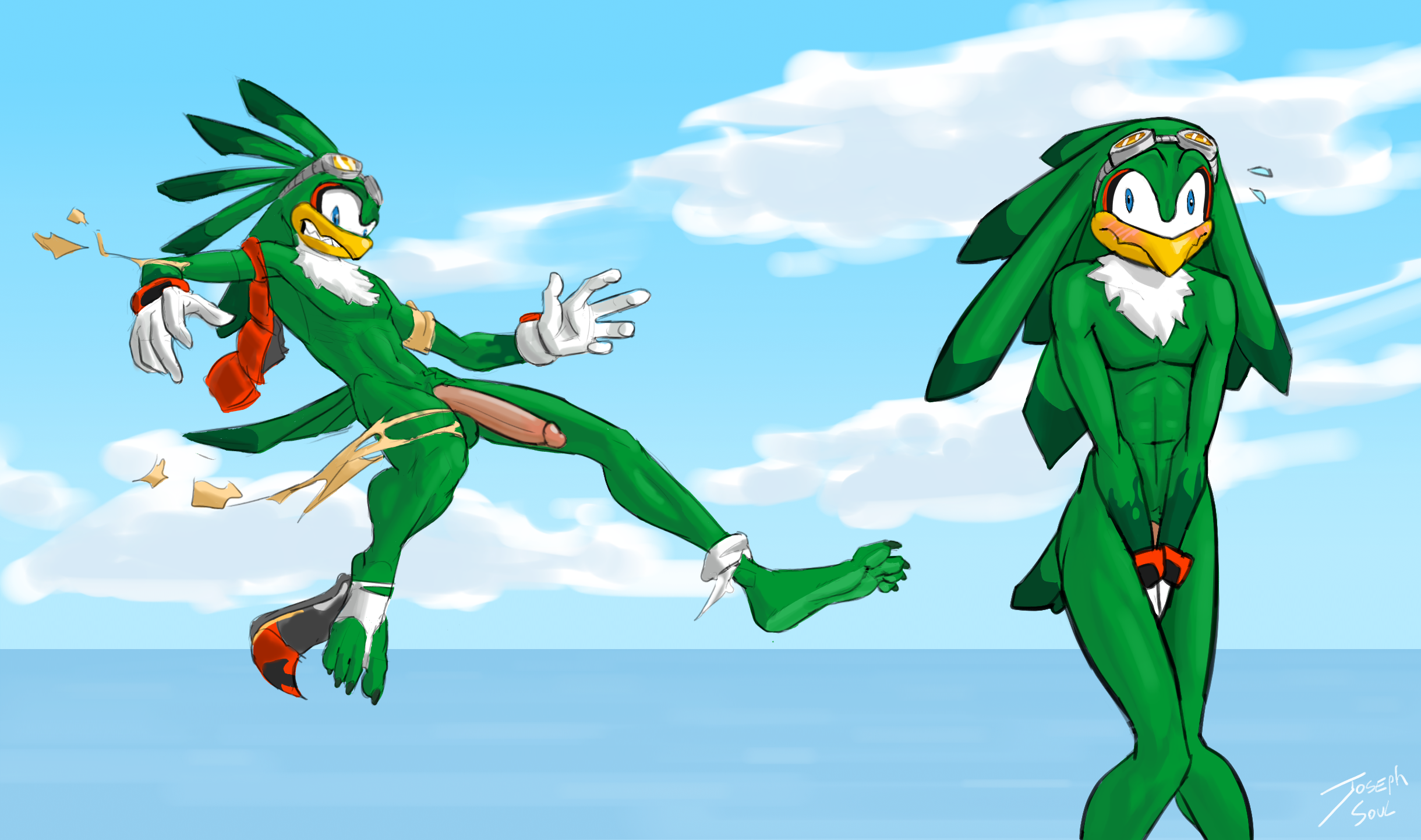 Jet The Hawk (Sega) Rule 34 Image